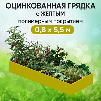 Грядка желтая (0,8 х 5,5)